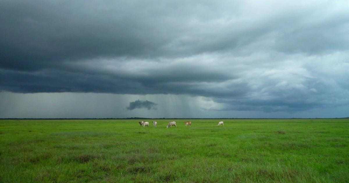 防关联浏览器是什么意思？防关联浏览器优缺点有哪些？